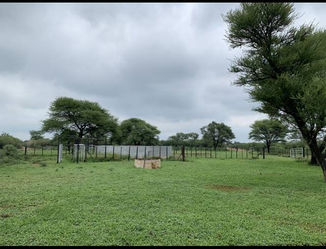 FARM FOR SALE IN DWAALBOOM